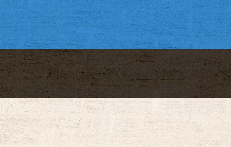 Estonia flag international