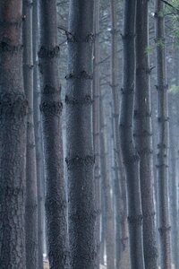 Nature walk landscape photo