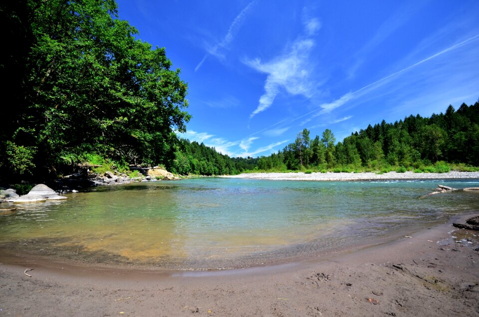 Nature landscape summer