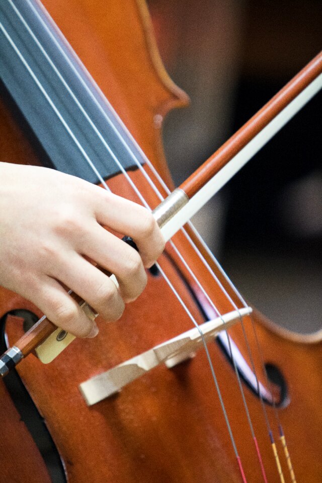 Music classical music cello photo