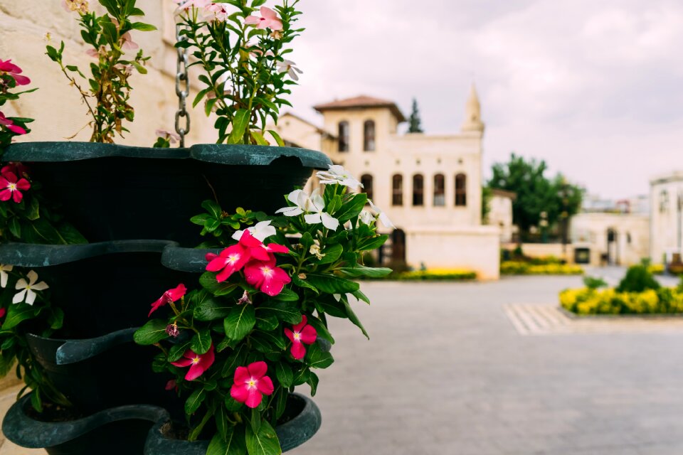 Colorful historic center old