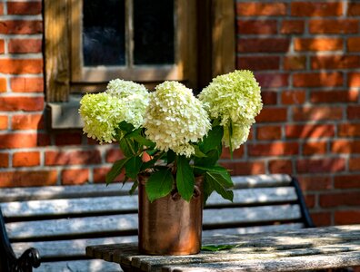 Wood table decorations summer photo