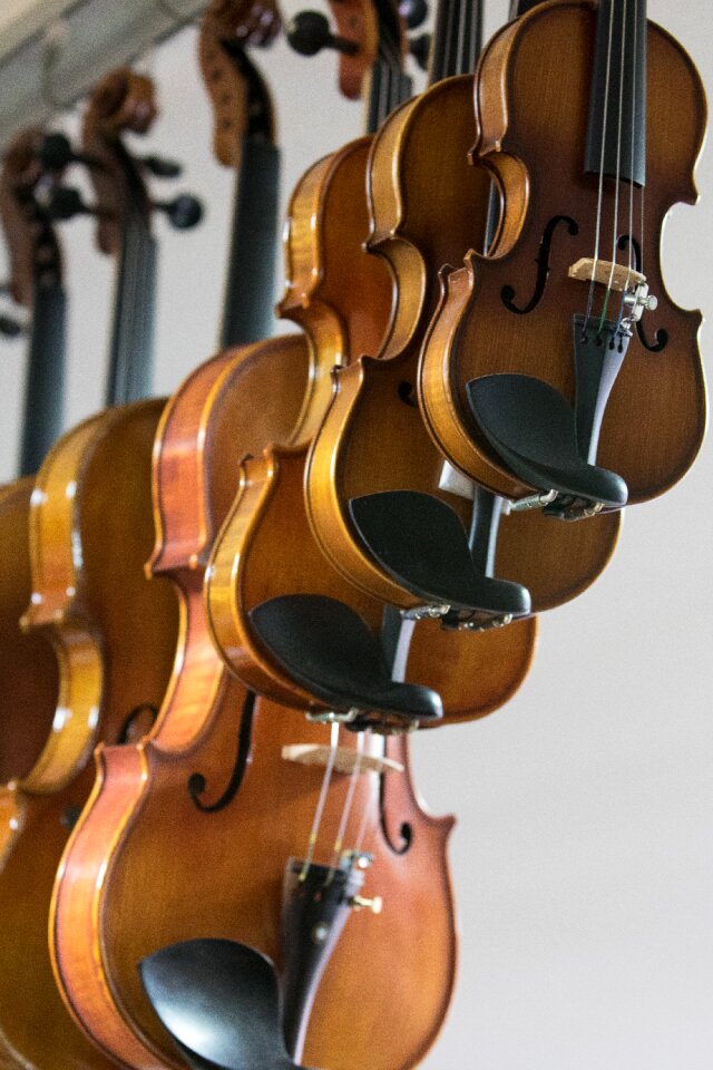 Violin music instrument stores