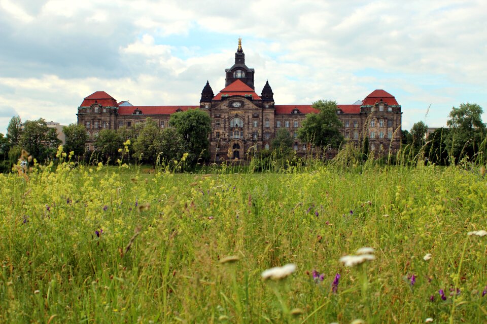 Architecture grass nature