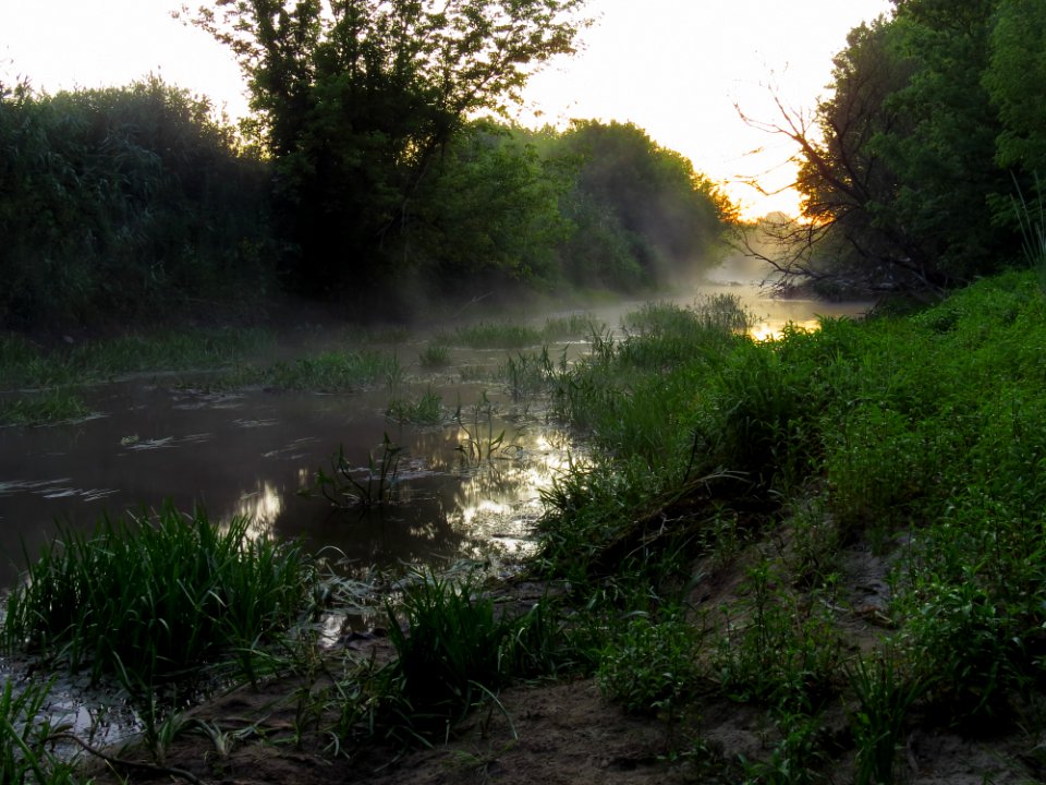 Irpin river fog4