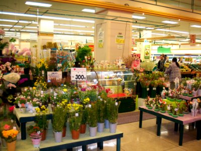 Interior of JUSCO Shingu Shopping Center 20100213e