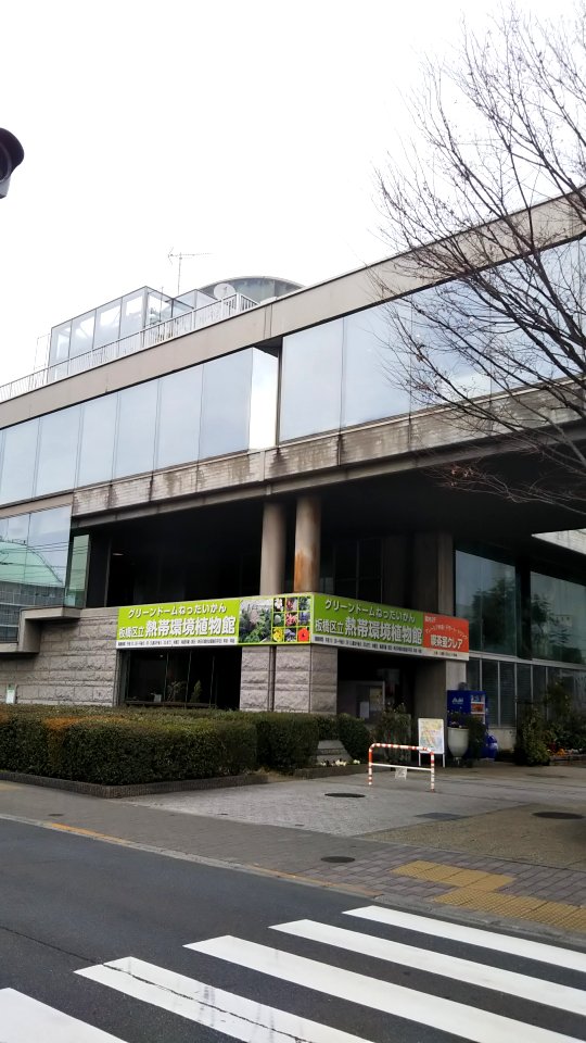 Itabashi Botanical Garden 2019-02-27 (02)