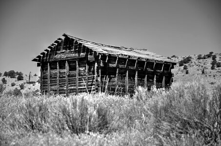 Black farm rural photo