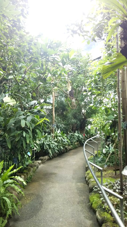 Itabashi Botanical Garden 2019-02-27 (04)