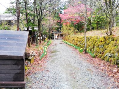 Isurugi Shrine 20210502 01