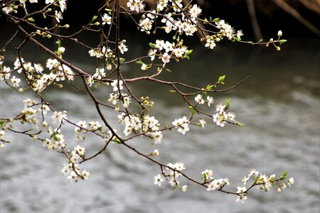 Season the freshness blooming
