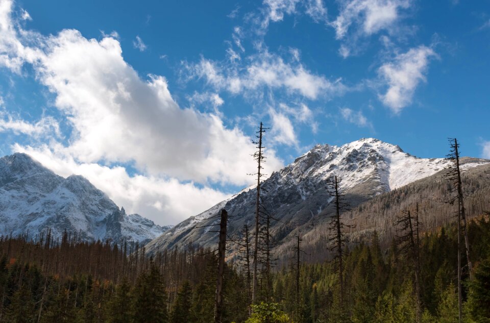 Snow landscape mountain