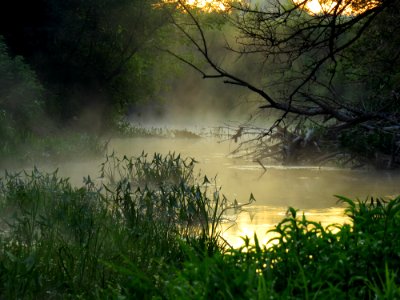 Irpin river fog7 photo