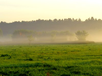 Irpin floodplain2