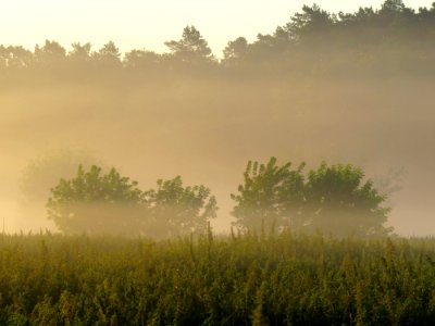 Irpin floodplain4