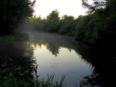 Irpin river fog3