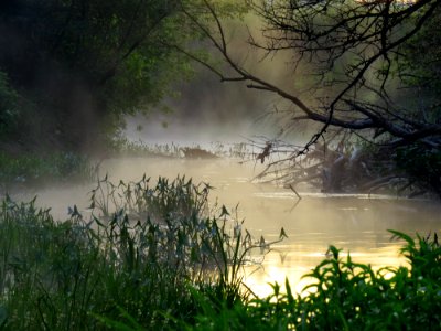 Irpin river fog1 photo