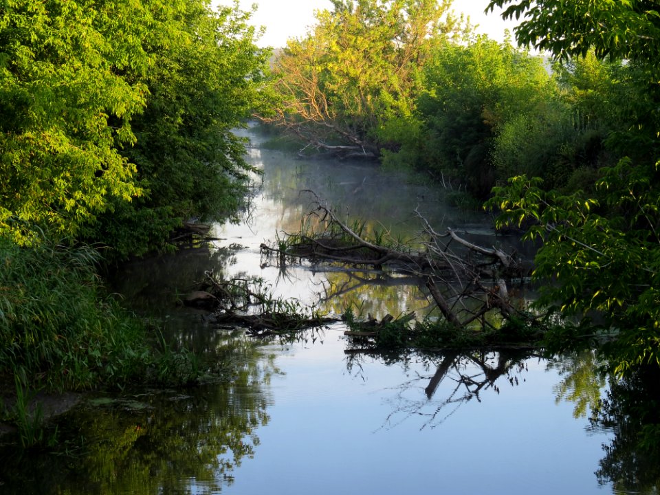 Irpin river