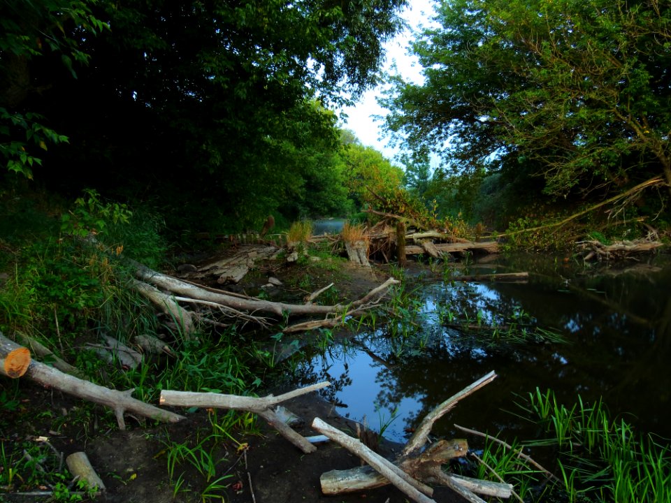 Irpin river Stoyanka3