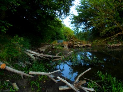 Irpin river Stoyanka3 photo