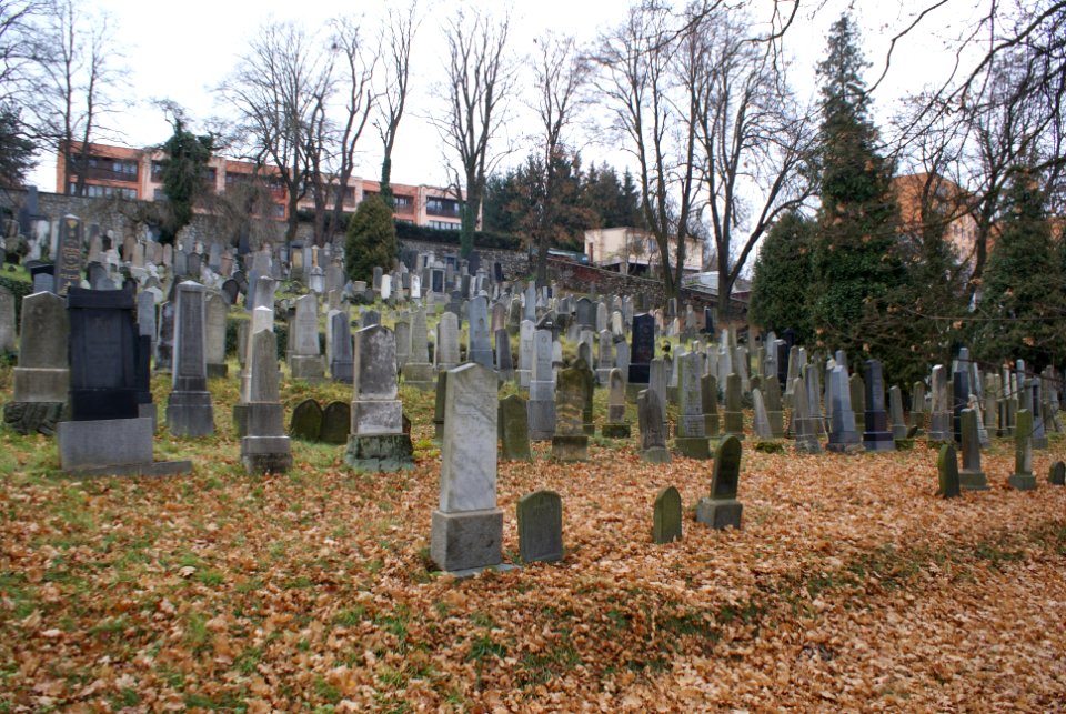 Jewish cemetery in Velké Meziříčí 11