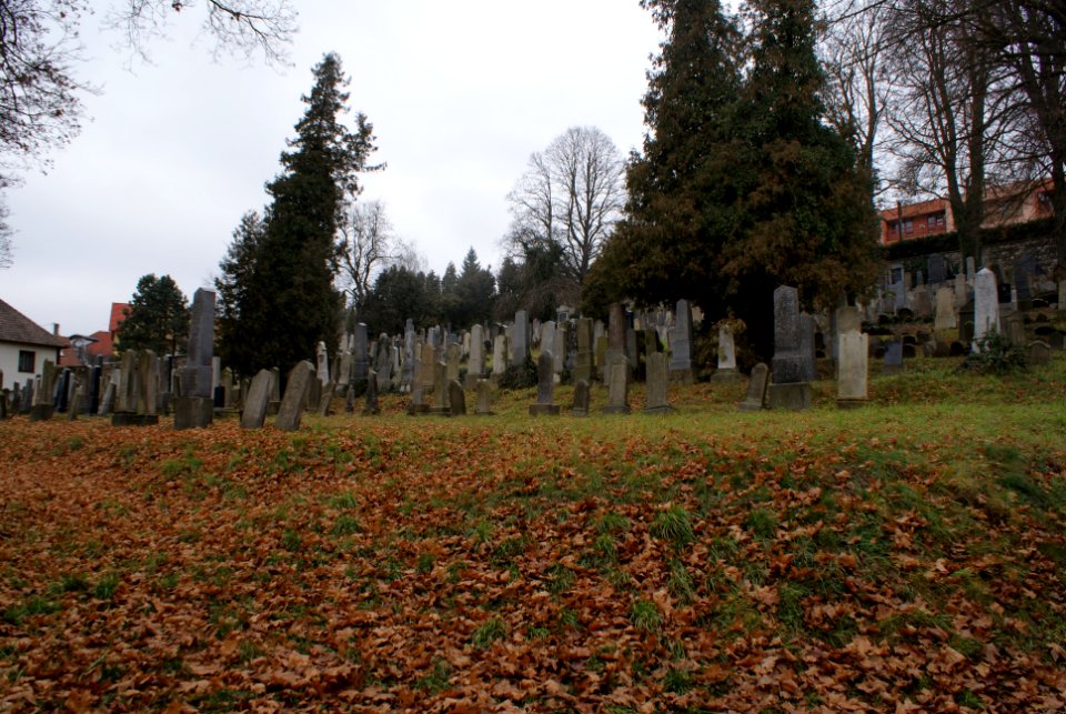 Jewish cemetery in Velké Meziříčí 05