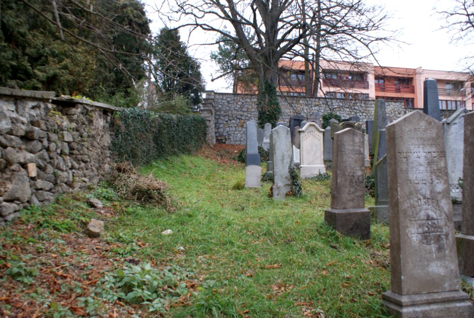 Jewish cemetery in Velké Meziříčí 15