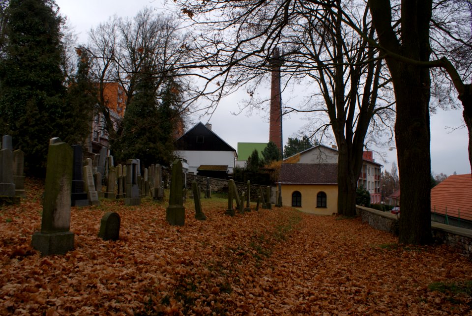 Jewish cemetery in Velké Meziříčí 10