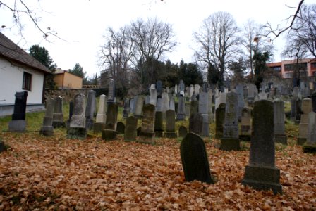 Jewish cemetery in Velké Meziříčí 08