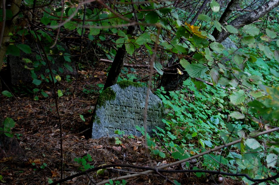 Jewish cemetery in Beshankovichy 07