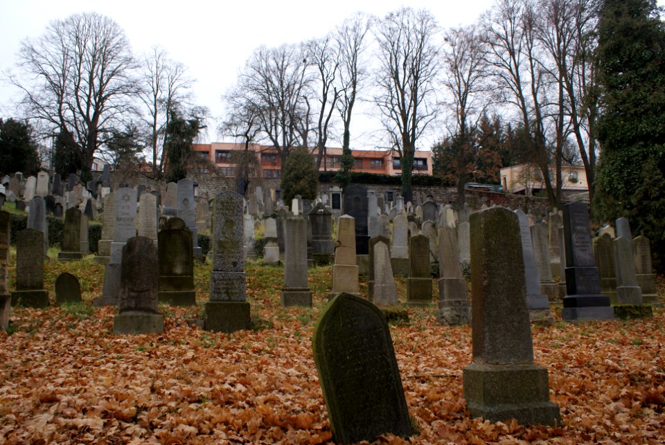 Jewish cemetery in Velké Meziříčí 09