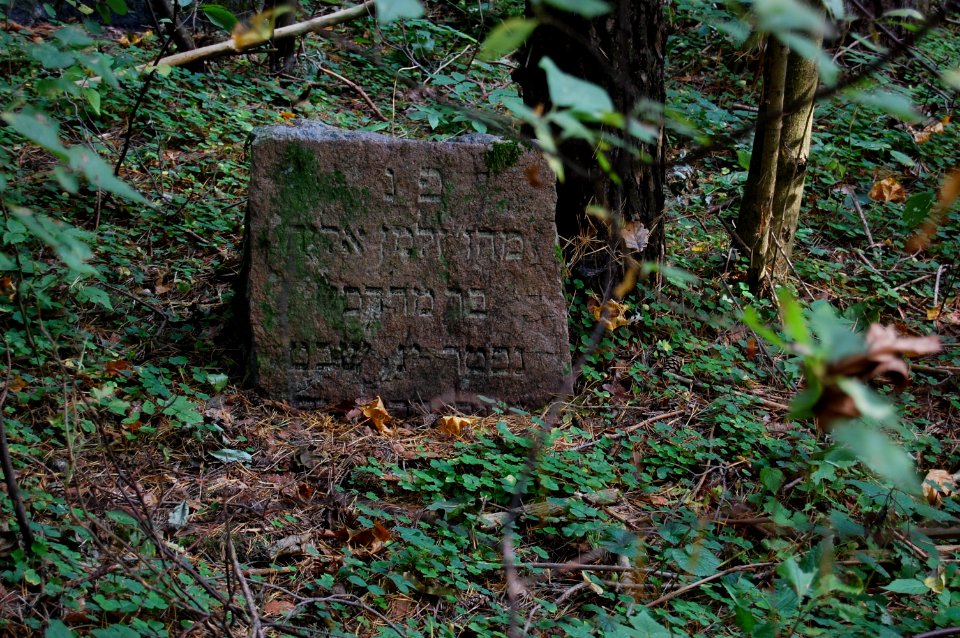 Jewish cemetery in Beshankovichy 03
