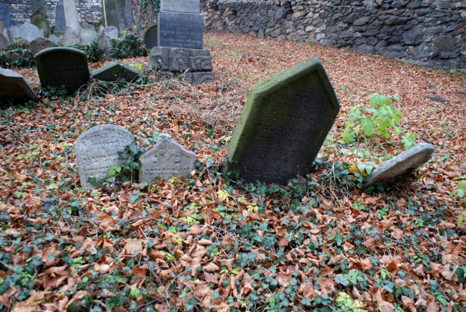 Jewish cemetery in Velké Meziříčí 26