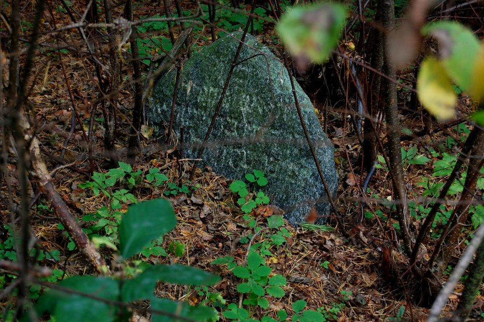 Jewish cemetery in Beshankovichy 10