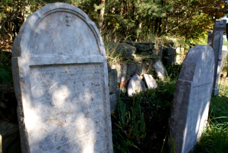 Jewish cemetery in Veselice 32