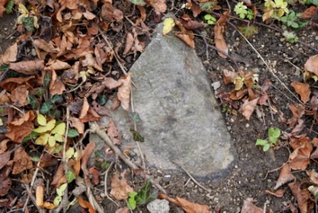 Jewish cemetery in Velké Meziříčí 24
