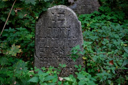 Jewish cemetery in Beshankovichy 06