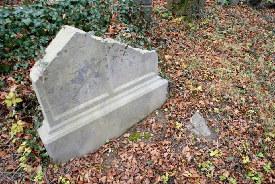 Jewish cemetery in Velké Meziříčí 25