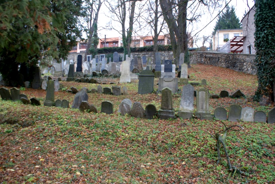 Jewish cemetery in Velké Meziříčí 29