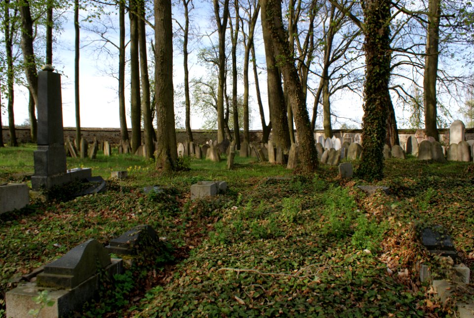Jewish cemetery in Březnice 16