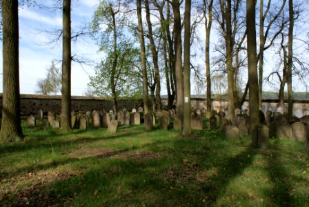 Jewish cemetery in Březnice 12