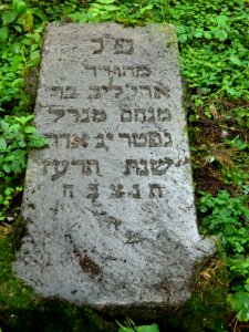 Jewish cemetery in Beshankovichy (3)