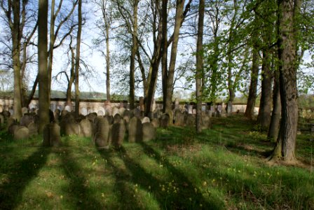 Jewish cemetery in Březnice 13