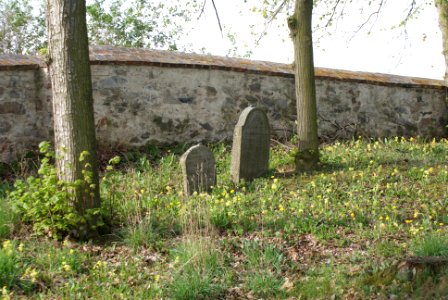 Jewish cemetery in Březnice 09