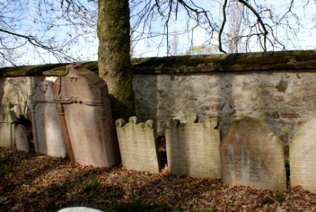 Jewish cemetery in Březnice 29
