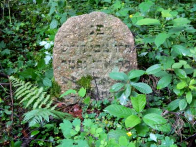 Jewish cemetery in Beshankovichy (4)