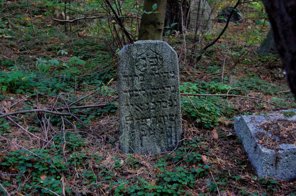 Jewish cemetery in Beshankovichy (19)