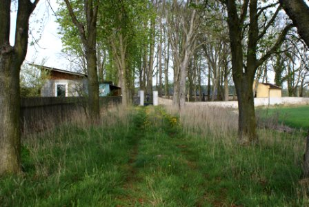 Jewish cemetery in Březnice 01