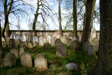 Jewish cemetery in Březnice 20