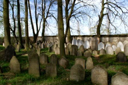 Jewish cemetery in Březnice 21